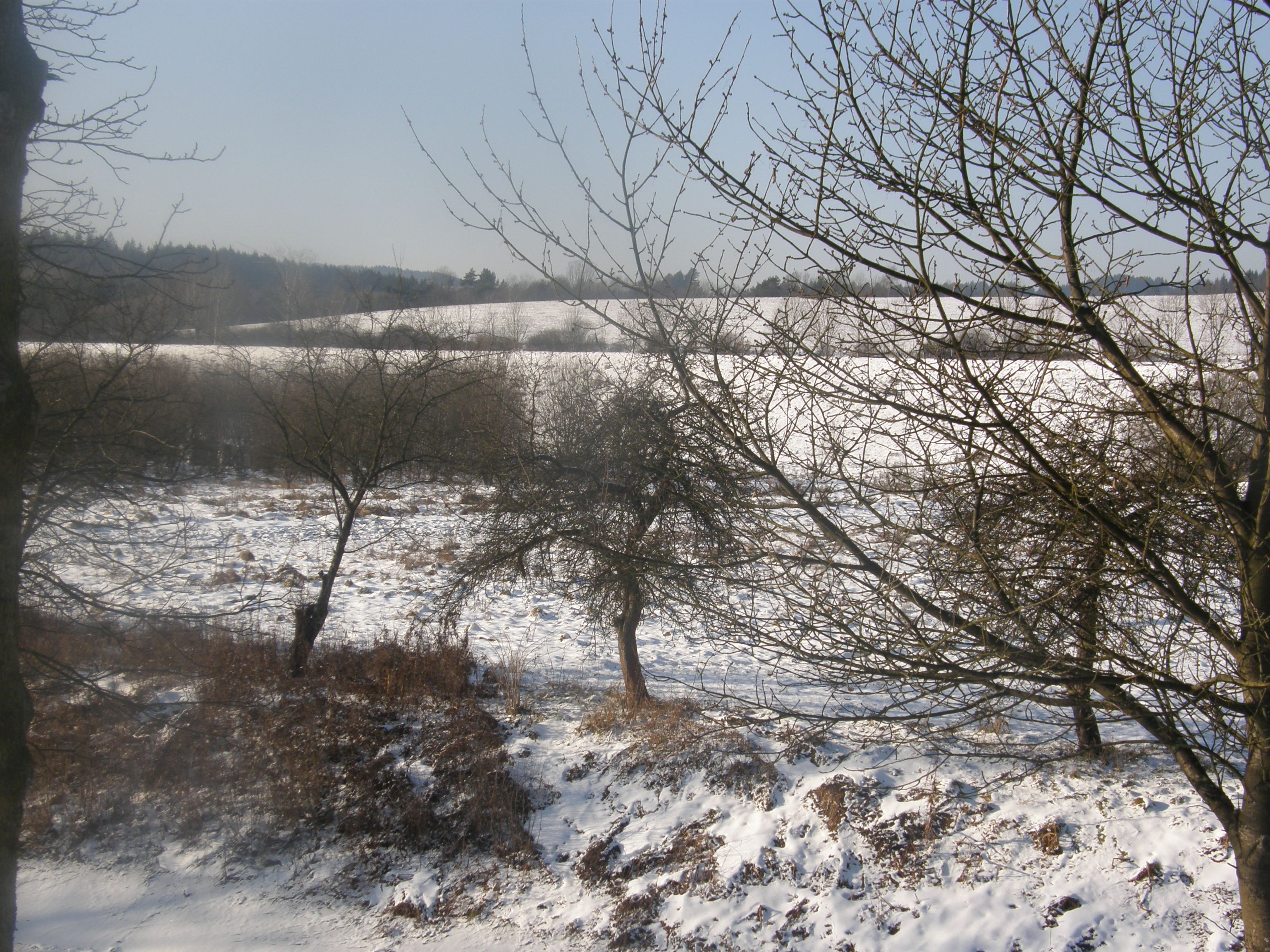 Krajina za riekou